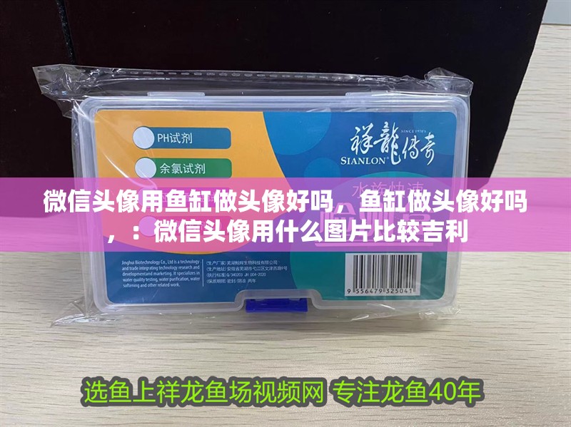 微信頭像用魚缸做頭像好嗎，魚缸做頭像好嗎，：微信頭像用什么圖片比較吉利 微信頭像用魚缸做頭像好嗎，魚缸做頭像好嗎，：微信頭像用什么圖片比較吉利 魚缸百科