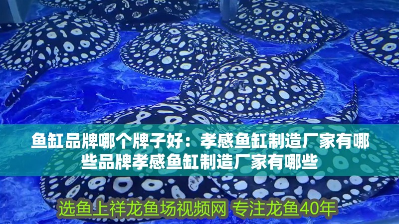 魚缸品牌哪個牌子好：孝感魚缸制造廠家有哪些品牌孝感魚缸制造廠家有哪些