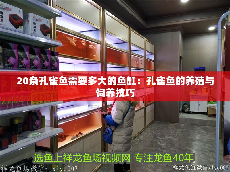 20條孔雀魚(yú)需要多大的魚(yú)缸：孔雀魚(yú)的養(yǎng)殖與飼養(yǎng)技巧