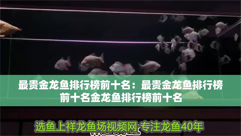 最貴金龍魚排行榜前十名：最貴金龍魚排行榜前十名金龍魚排行榜前十名