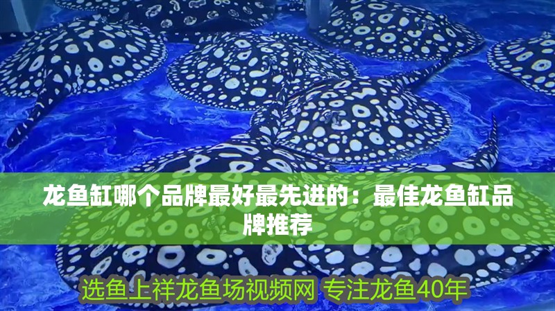 龍魚缸哪個品牌最好最先進的：最佳龍魚缸品牌推薦