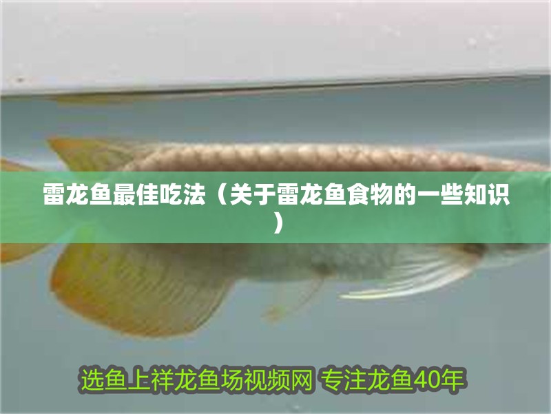 雷龍魚最佳吃法（關于雷龍魚食物的一些知識）