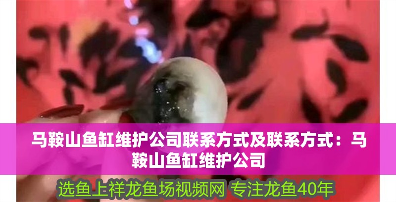 馬鞍山魚缸維護公司聯系方式及聯系方式：馬鞍山魚缸維護公司