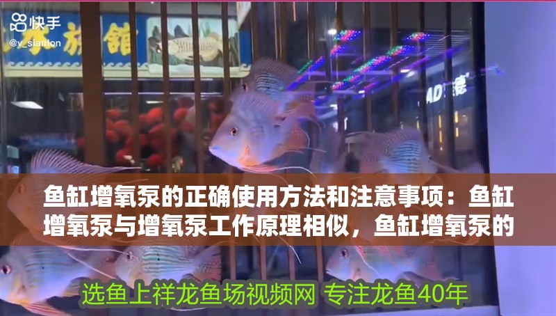 詳細(xì)閱讀:魚缸增氧泵的正確使用方法和注意事項(xiàng):魚缸增氧泵與增氧泵工作原理相似,魚缸增氧泵的使用方法 魚缸增氧泵的正確使用方法和注意事項(xiàng):魚缸增氧泵與增氧泵工作原理相似,魚缸增氧泵的使用方法