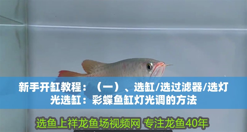 紅龍魚(yú)用黃燈烤有用嗎 新手開(kāi)缸教程:(一)、選缸/選過(guò)濾器/選燈光選缸:彩蝶魚(yú)缸燈光調(diào)的方法 魚(yú)缸百科 新手開(kāi)缸教程:(一)、選缸/選過(guò)濾器/選燈光選缸:彩蝶魚(yú)缸燈光調(diào)的方法 新手開(kāi)缸教程:(一)、選缸/選過(guò)濾器/選燈光選缸:彩蝶魚(yú)缸燈光調(diào)的方法 魚(yú)缸百科