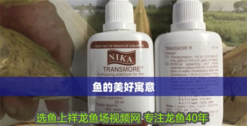 魚的美好寓意