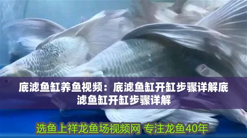 底濾魚缸養魚視頻：底濾魚缸開缸步驟詳解底濾魚缸開缸步驟詳解