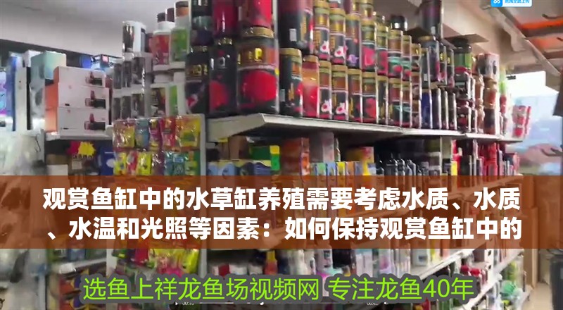 觀賞魚(yú)缸中的水草缸養(yǎng)殖需要考慮水質(zhì)、水質(zhì)、水溫和光照等因素：如何保持觀賞魚(yú)缸中的水草