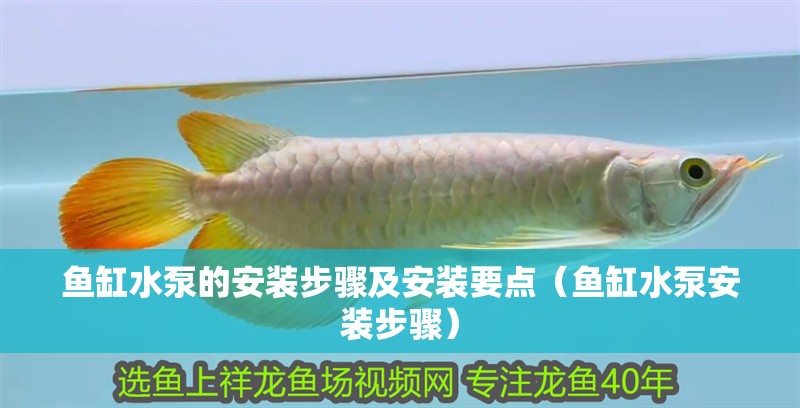 魚缸水泵的安裝步驟及安裝要點（魚缸水泵安裝步驟）