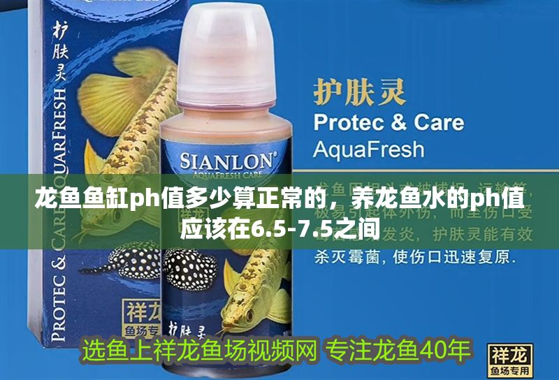 龍魚魚缸ph值多少算正常的，養龍魚水的ph值應該在6.5-7.5之間 龍魚魚缸ph值多少算正常的，養龍魚水的ph值應該在6.5-7.5之間 魚缸百科 第2張