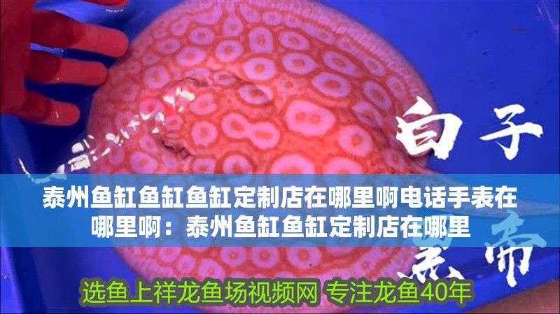 泰州魚缸魚缸魚缸定制店在哪里啊電話手表在哪里啊：泰州魚缸魚缸定制店在哪里