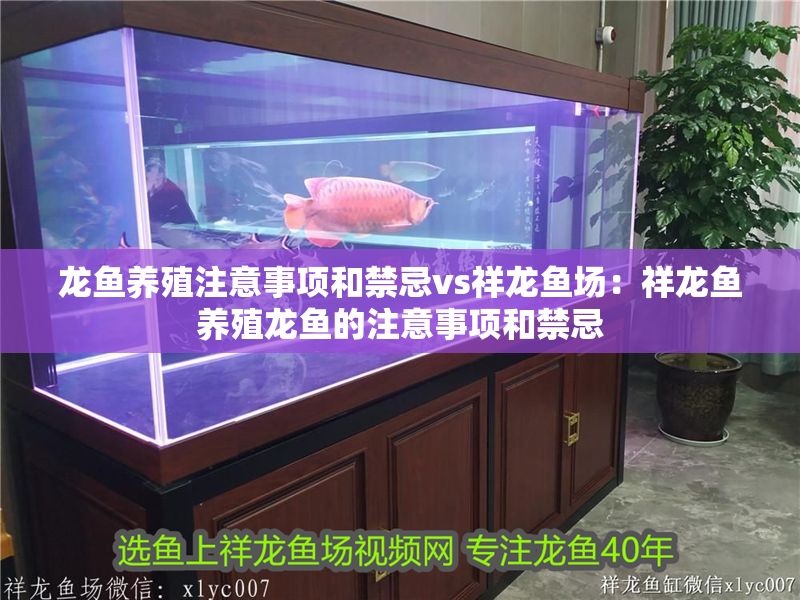 龍魚養殖注意事項和禁忌vs祥龍魚場：祥龍魚養殖龍魚的注意事項和禁忌
