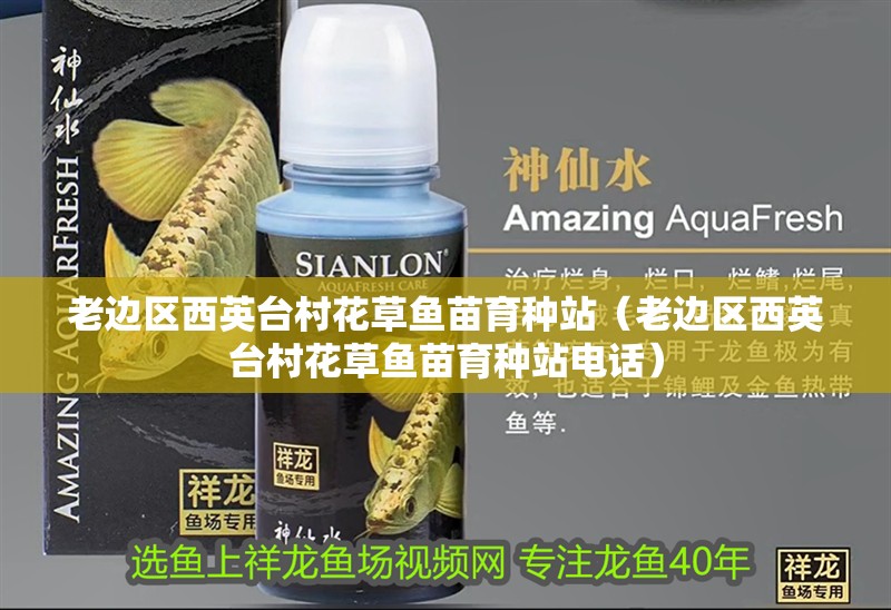 老邊區(qū)西英臺(tái)村花草魚苗育種站（老邊區(qū)西英臺(tái)村花草魚苗育種站電話）