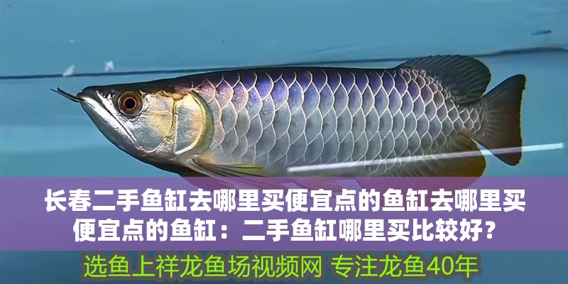 長春二手魚缸去哪里買便宜點(diǎn)的魚缸去哪里買便宜點(diǎn)的魚缸：二手魚缸哪里買比較好？