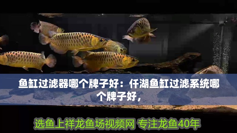 魚缸過濾器哪個牌子好：仟湖魚缸過濾系統哪個牌子好，