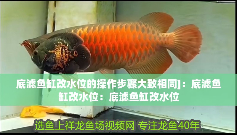 底濾魚缸改水位的操作步驟大致相同]：底濾魚缸改水位：底濾魚缸改水位
