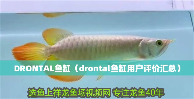 DRONTAL魚缸（drontal魚缸用戶評價匯總）