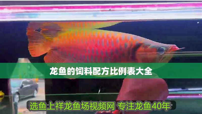 龍魚的飼料配方比例表大全
