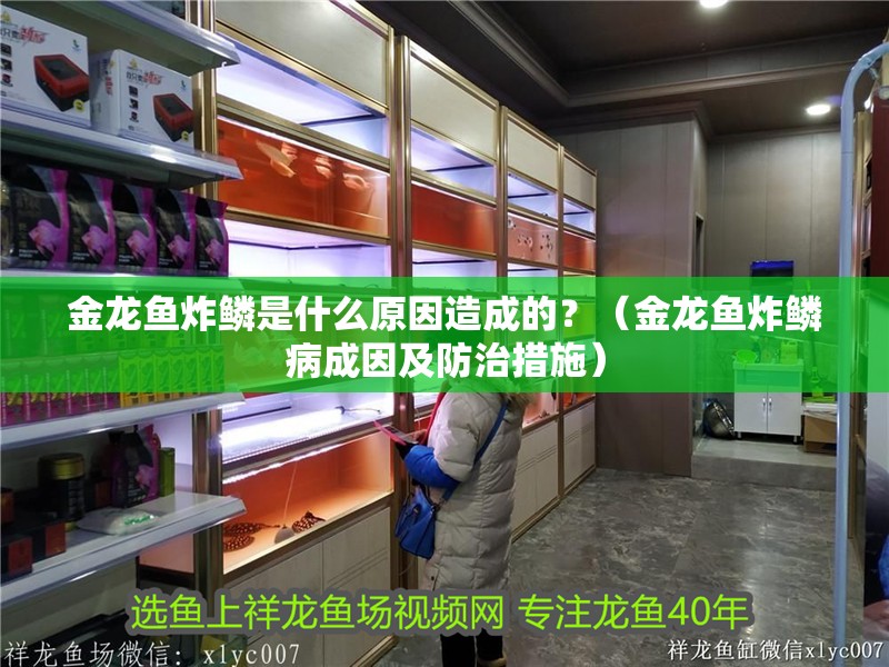 金龍魚炸鱗是什么原因造成的？（金龍魚炸鱗病成因及防治措施） 金龍魚炸鱗是什么原因造成的？（金龍魚炸鱗病成因及防治措施） 龍魚百科