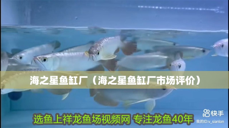 海之星魚缸廠（海之星魚缸廠市場評價） 海之星魚缸廠（海之星魚缸廠市場評價） 魚缸百科