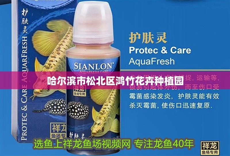 哈爾濱市松北區鴻竹花卉種植園