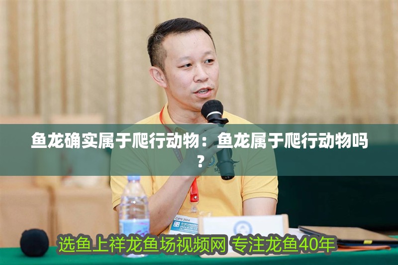 魚龍確實(shí)屬于爬行動(dòng)物：魚龍屬于爬行動(dòng)物嗎？ 魚龍確實(shí)屬于爬行動(dòng)物：魚龍屬于爬行動(dòng)物嗎？ 龍魚百科