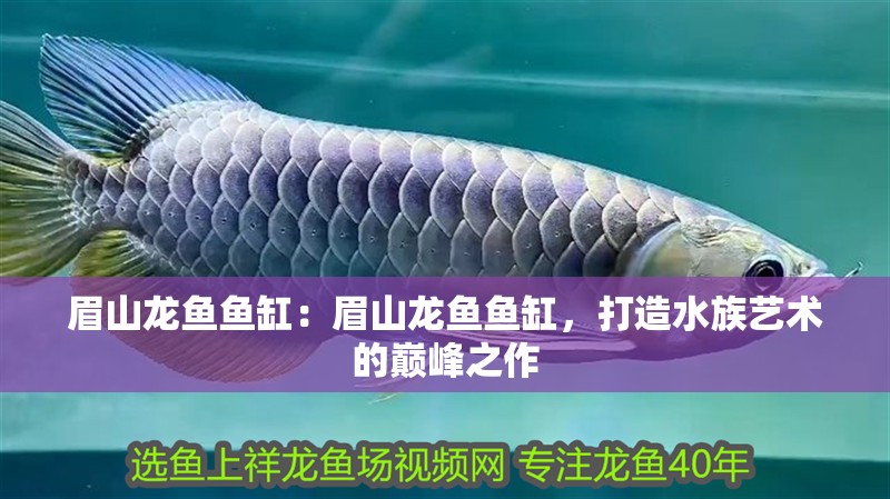 眉山龍魚魚缸：眉山龍魚魚缸，打造水族藝術的巔峰之作