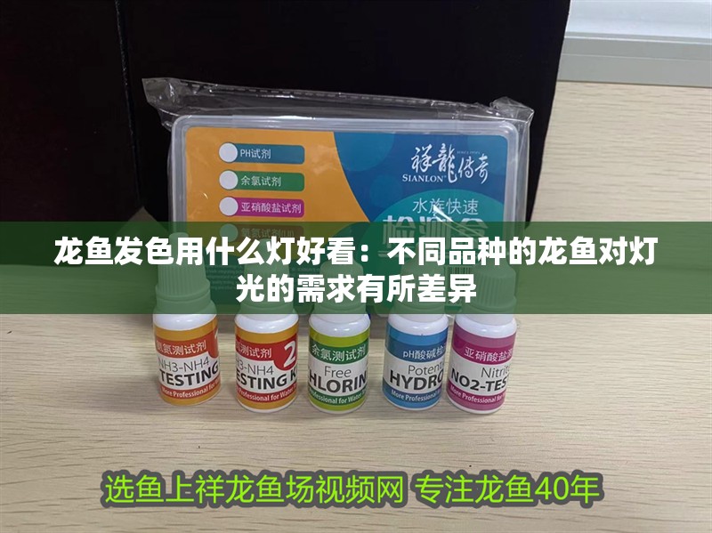 龍魚發(fā)色用什么燈好看：不同品種的龍魚對燈光的需求有所差異
