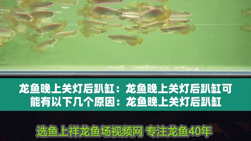 龍魚晚上關燈后趴缸：龍魚晚上關燈后趴缸可能有以下幾個原因：龍魚晚上關燈后趴缸
