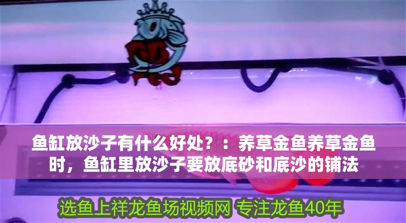 魚缸放沙子有什么好處？：養(yǎng)草金魚養(yǎng)草金魚時，魚缸里放沙子要放底砂和底沙的鋪法