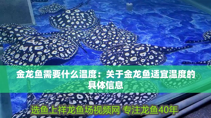 魚缸過濾器選購指南:自制魚缸過濾器魚缸上置過濾器對(duì)于養(yǎng)魚愛好者的必備知識(shí) 金龍魚需要什么溫度:關(guān)于金龍魚適宜溫度的具體信息 龍魚百科 金龍魚需要什么溫度:關(guān)于金龍魚適宜溫度的具體信息 金龍魚需要什么溫度:關(guān)于金龍魚適宜溫度的具體信息 龍魚百科