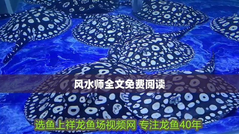 風水師全文免費閱讀