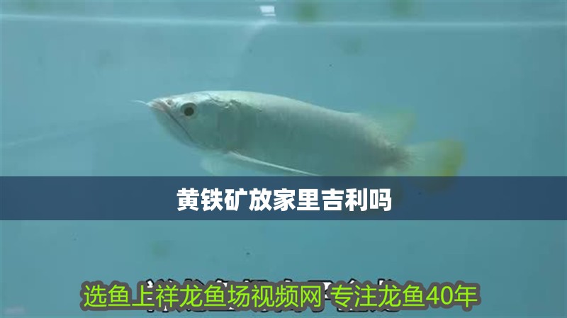 黃鐵礦放家里吉利嗎