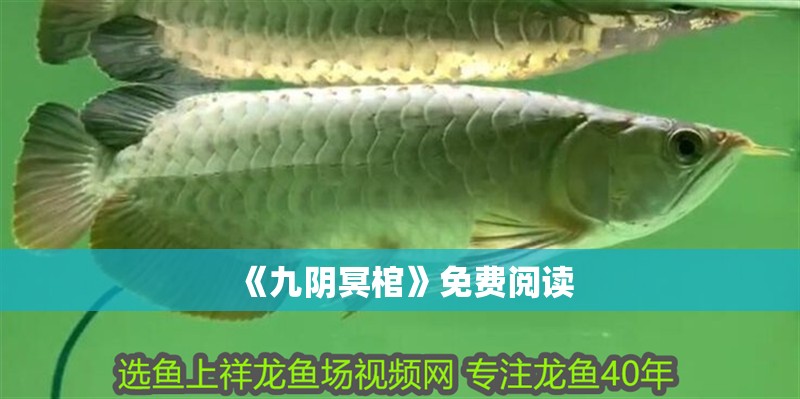 《九陰冥棺》免費閱讀