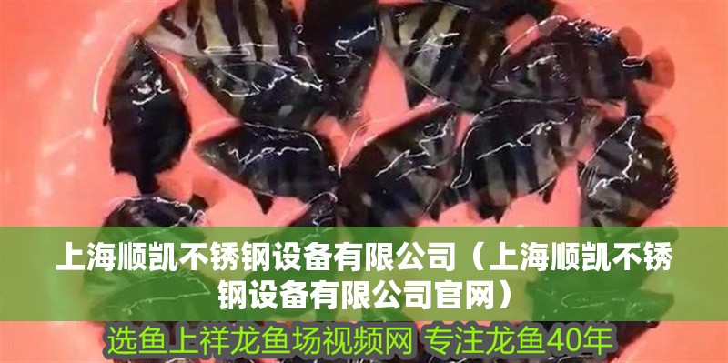 魚缸過濾器選購指南:自制魚缸過濾器魚缸上置過濾器對于養(yǎng)魚愛好者的必備知識 上海順凱不銹鋼設(shè)備有限公司(上海順凱不銹鋼設(shè)備有限公司官網(wǎng)) 全國水族館企業(yè)名錄 上海順凱不銹鋼設(shè)備有限公司(上海順凱不銹鋼設(shè)備有限公司官網(wǎng)) 上海順凱不銹鋼設(shè)備有限公司(上海順凱不銹鋼設(shè)備有限公司官網(wǎng)) 全國水族館企業(yè)名錄