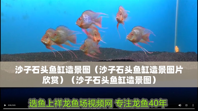 沙子石頭魚缸造景圖（沙子石頭魚缸造景圖片欣賞）（沙子石頭魚缸造景圖）