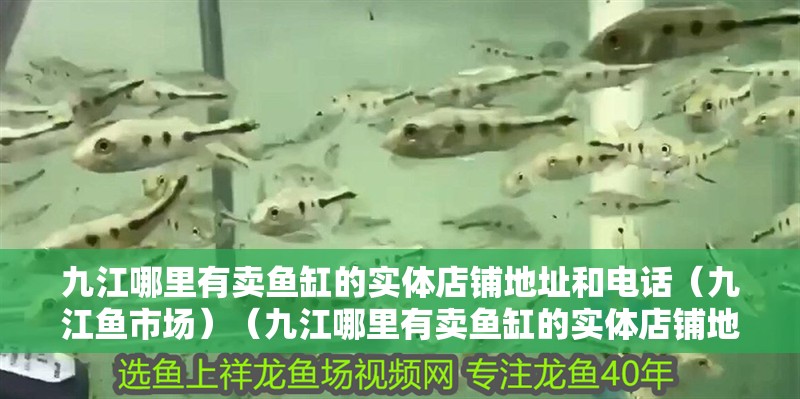 九江哪里有賣魚缸的實體店鋪地址和電話（九江魚市場）（九江哪里有賣魚缸的實體店鋪地址和電話,包括一些二手的魚缸）
