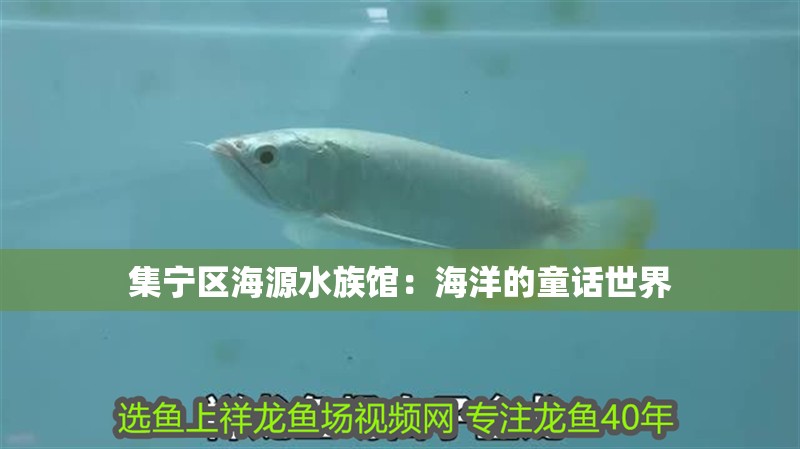 集寧區海源水族館：海洋的童話世界