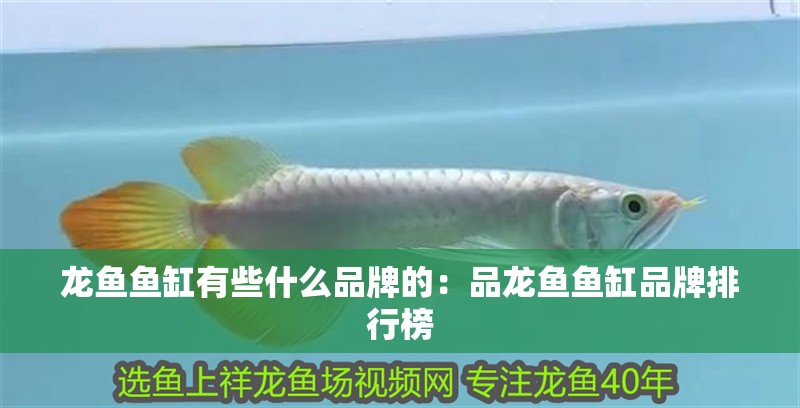 龍魚魚缸有些什么品牌的：品龍魚魚缸品牌排行榜