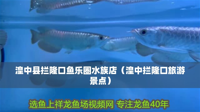 <strong><mark>湟中</mark></strong>縣攔隆口魚樂圈水族店（<strong><mark>湟中</mark></strong>攔隆口旅游景點）