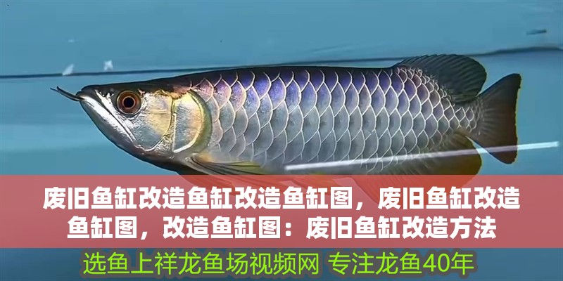廢舊魚缸改造魚缸改造魚缸圖，廢舊魚缸改造魚缸圖，改造魚缸圖：廢舊魚缸改造方法