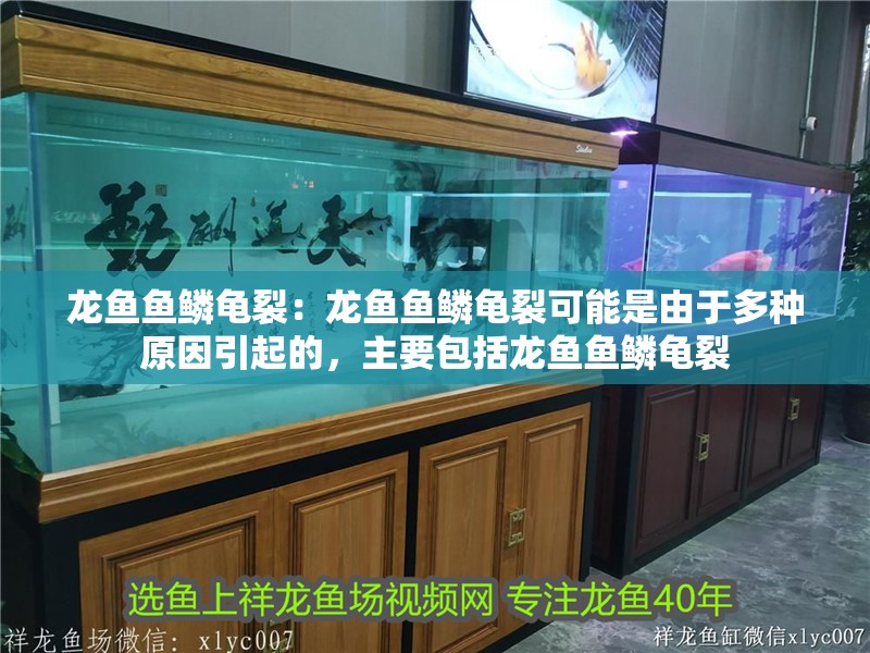 龍魚魚鱗龜裂：龍魚魚鱗龜裂可能是由于多種原因引起的，主要包括龍魚魚鱗龜裂