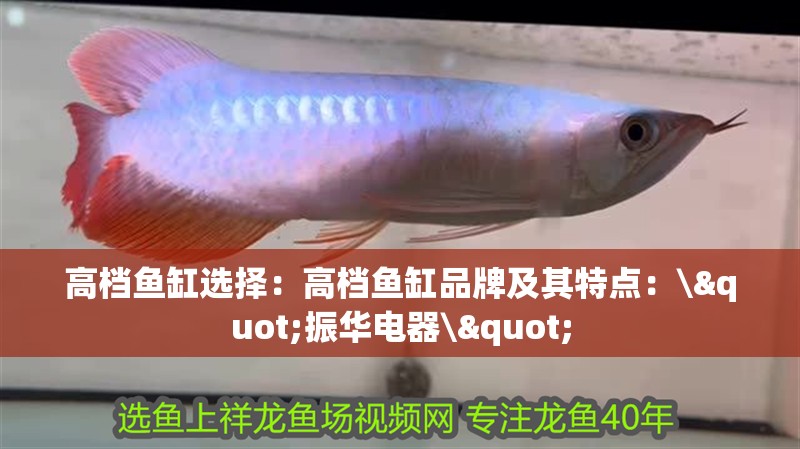 高檔魚缸選擇：高檔魚缸品牌及其特點：\"振華電器\" 高檔魚缸選擇：高檔魚缸品牌及其特點：\"振華電器\" 魚缸百科