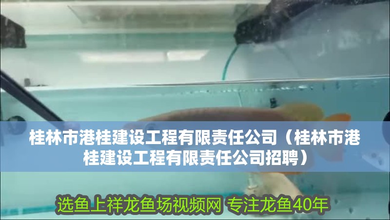 龍魚干蝦有營養嗎 桂林市港桂建設工程有限責任公司(桂林市港桂建設工程有限責任公司招聘) 全國水族館企業名錄 桂林市港桂建設工程有限責任公司(桂林市港桂建設工程有限責任公司招聘) 桂林市港桂建設工程有限責任公司(桂林市港桂建設工程有限責任公司招聘) 全國水族館企業名錄