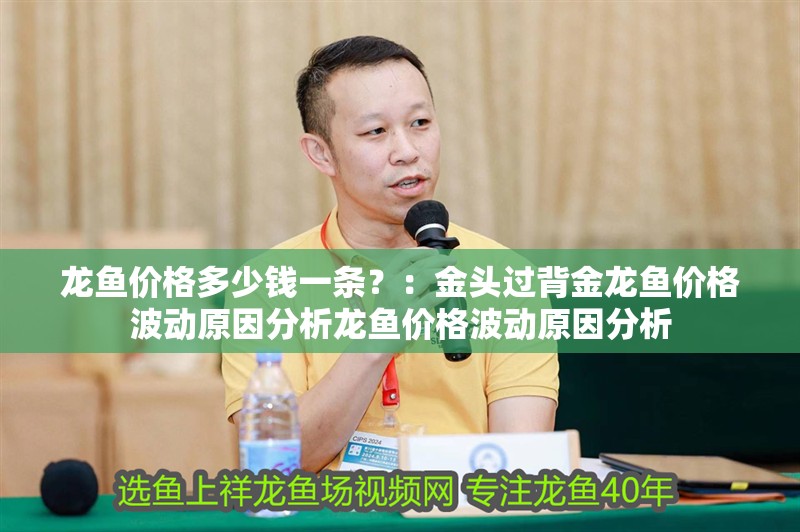 龍魚價格多少錢一條？：金頭過背金龍魚價格波動原因分析龍魚價格波動原因分析
