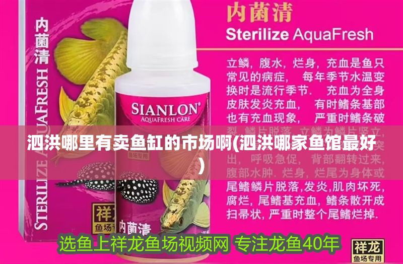 泗洪哪里有賣魚缸的市場啊(泗洪哪家魚館最好) 泗洪哪里有賣魚缸的市場啊(泗洪哪家魚館最好) 錦鯉魚百科 第1張