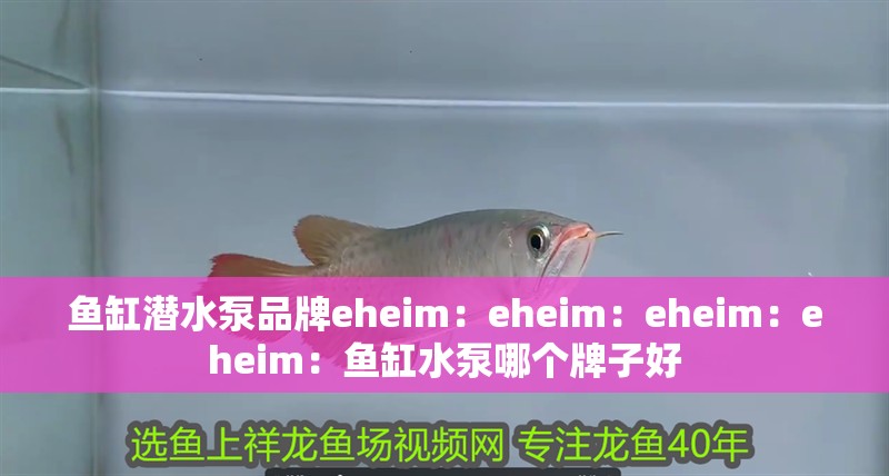 魚缸潛水泵品牌eheim：eheim：eheim：eheim：魚缸水泵哪個(gè)牌子好