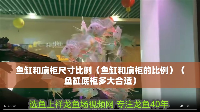 魚缸過濾器選購指南:自制魚缸過濾器魚缸上置過濾器對于養魚愛好者的必備知識 魚缸和底柜尺寸比例(魚缸和底柜的比例)(魚缸底柜多大合適) 魚缸百科 魚缸和底柜尺寸比例(魚缸和底柜的比例)(魚缸底柜多大合適) 魚缸和底柜尺寸比例(魚缸和底柜的比例)(魚缸底柜多大合適) 魚缸百科