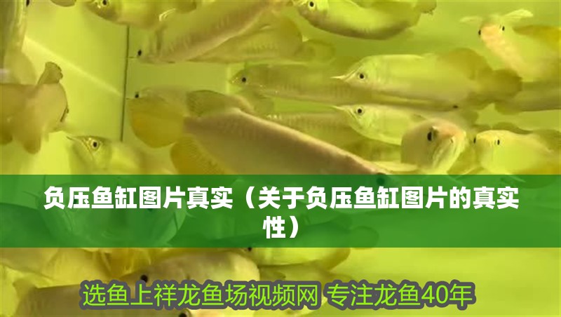 負(fù)壓魚缸圖片真實（關(guān)于負(fù)壓魚缸圖片的真實性）