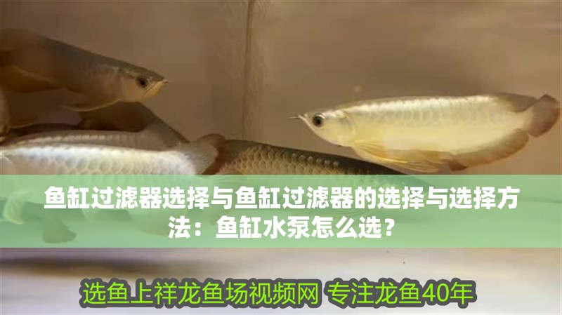 魚(yú)缸過(guò)濾器選擇與魚(yú)缸過(guò)濾器的選擇與選擇方法：魚(yú)缸水泵怎么選？